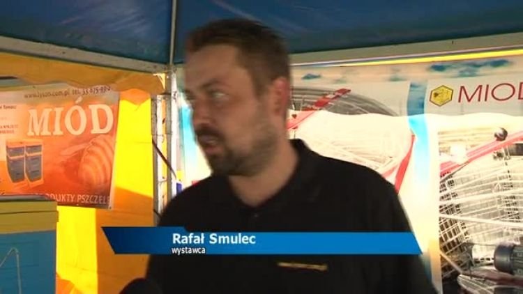 pszczoly_news.mp4