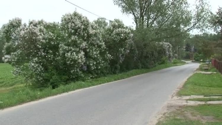 wyludnianie_news.mp4