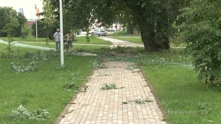 burza_dach_news.mp4