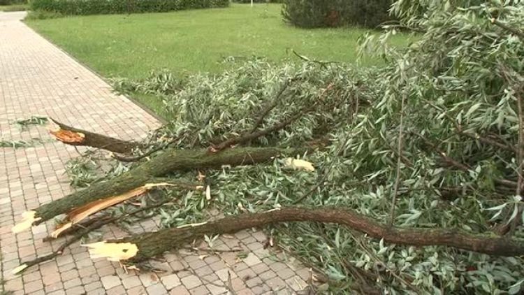 burza_dach_news.mp4