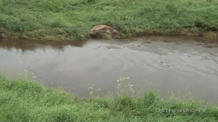 burza_dach_news.mp4