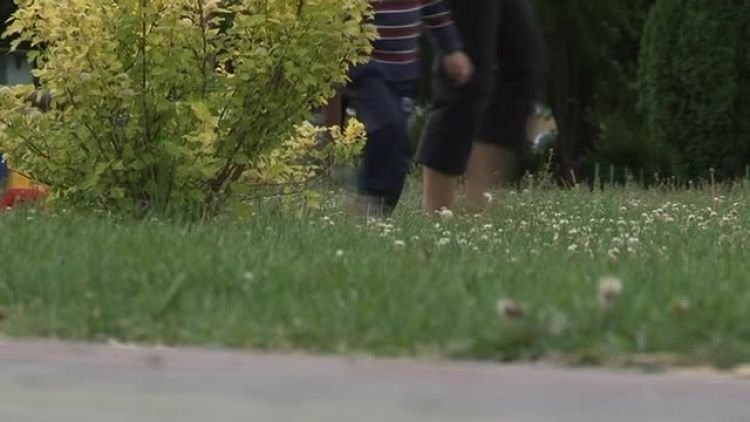dzien_matki_news.mp4