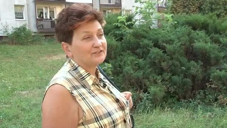 brudno_czy_czysto_news.mp4