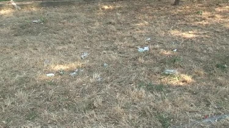 brudno_czy_czysto_news.mp4