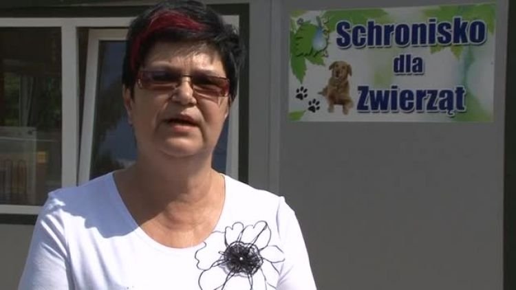 mium_2013_07_25.mp4