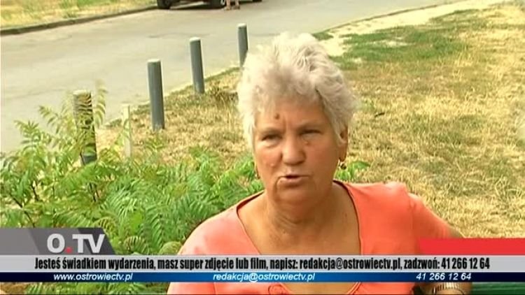 fakty_2013_08_13_wtorek.mp4