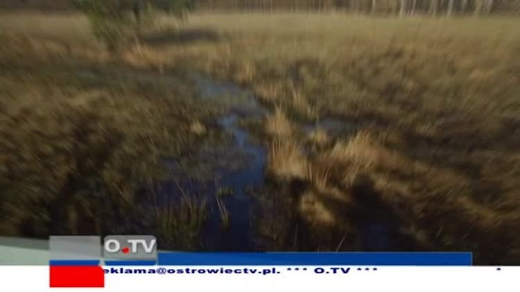 2011_12_12_telefakty.mp4