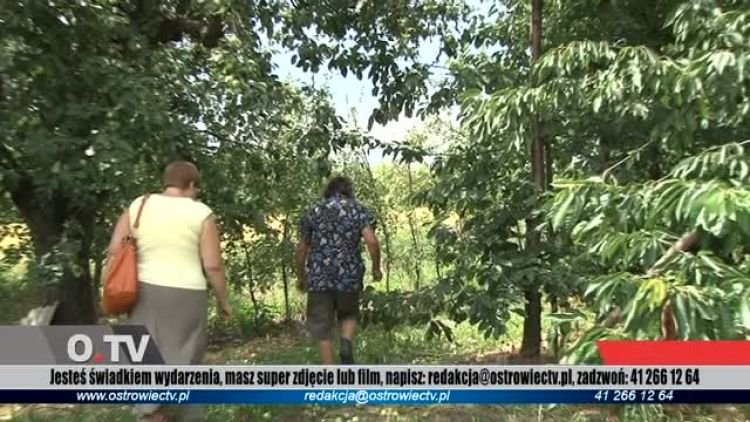 2012_07_12_tele.mp4