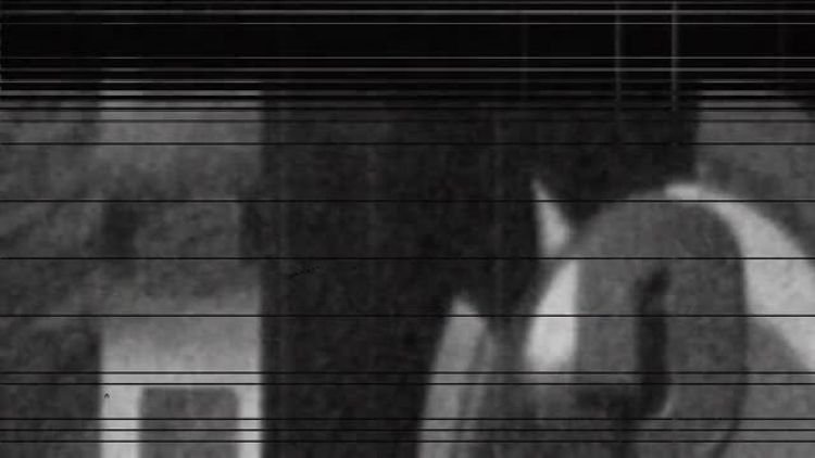 nie_12_04_pop.mp4