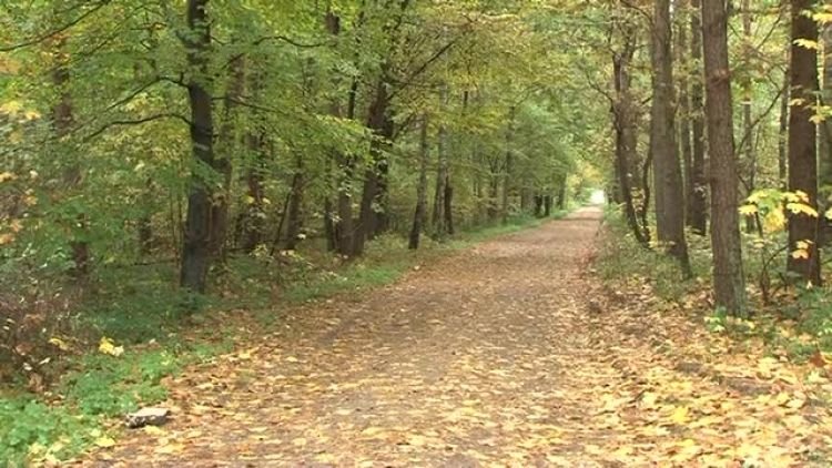 2011_11_03_kurier_powiatowy.mp4