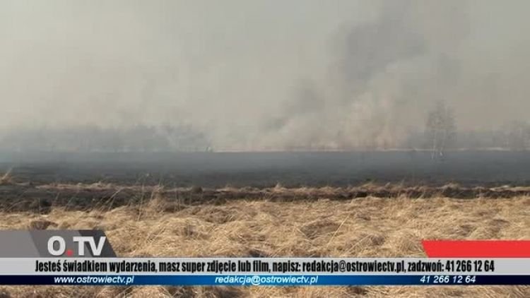 2012_03_19_tele.mp4